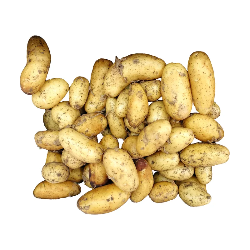 Baby Potato