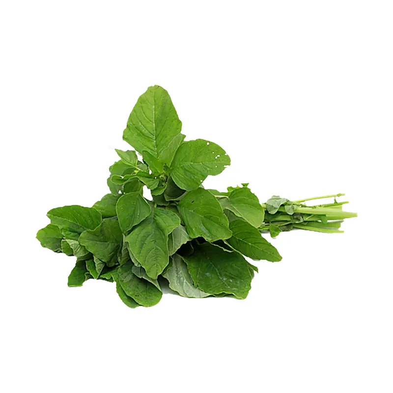Amaranth Leaves Green (Dand)